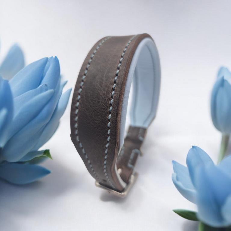 Halsband SKY GRAPH
